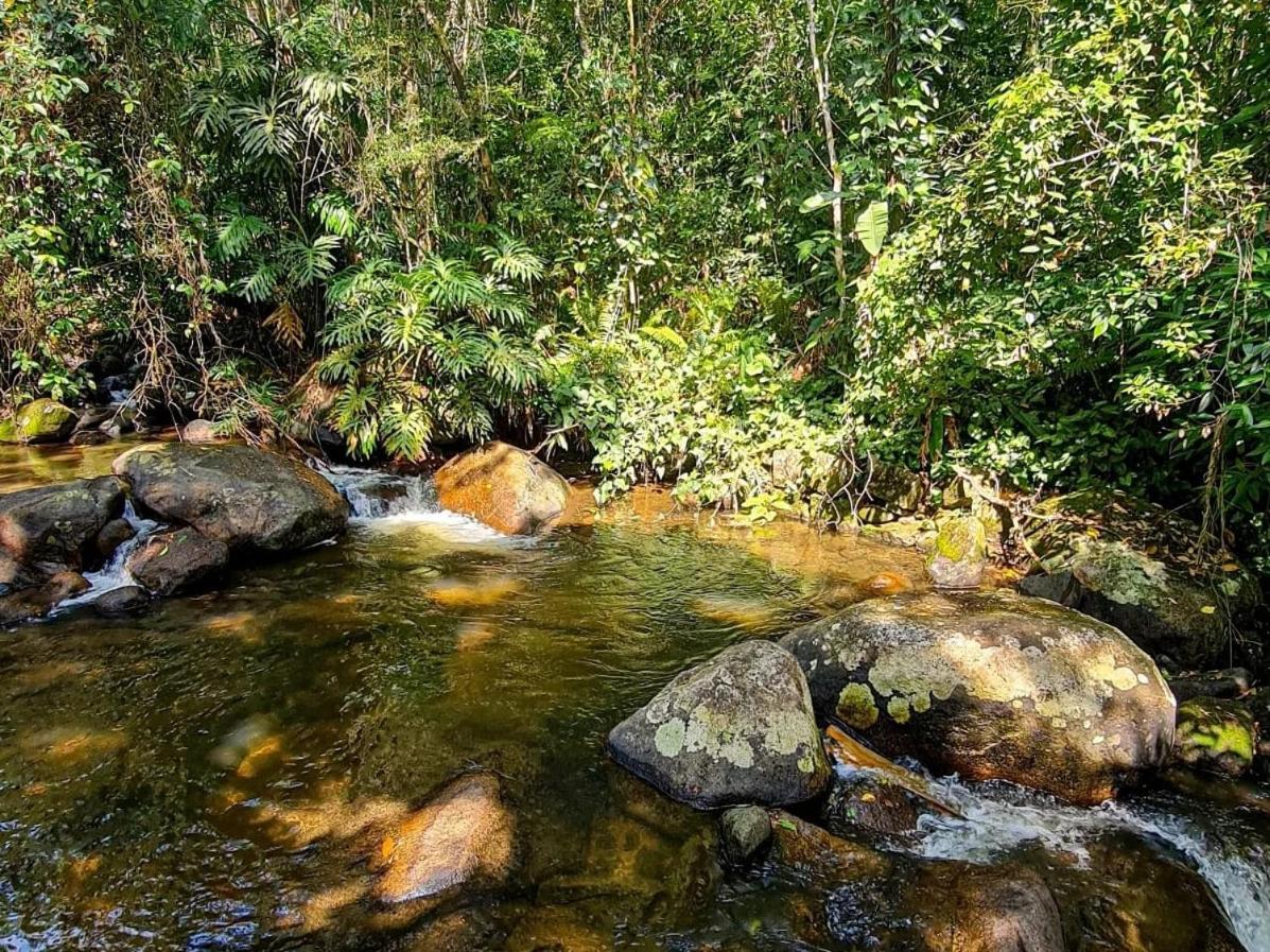 Sitio Vale Dos Reis